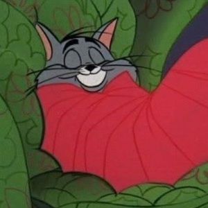 Meet your Posher, Kirsten